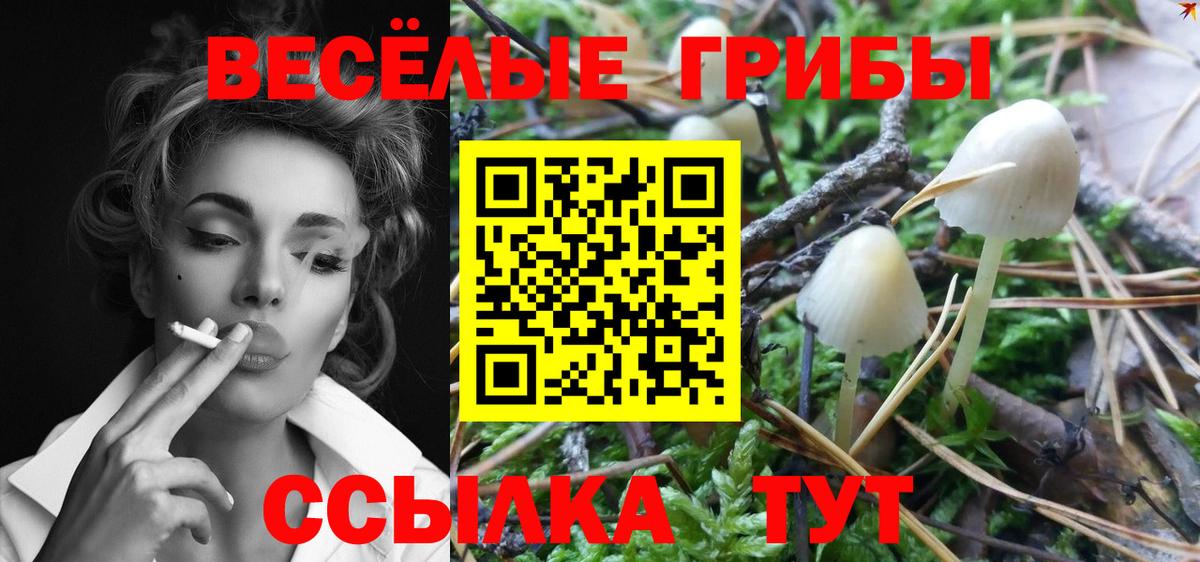 Псилоцибиновые грибы мухоморы  где найти наркотики  Псилоцибиновые грибы мицелий  Тверь  Вход с VPN 